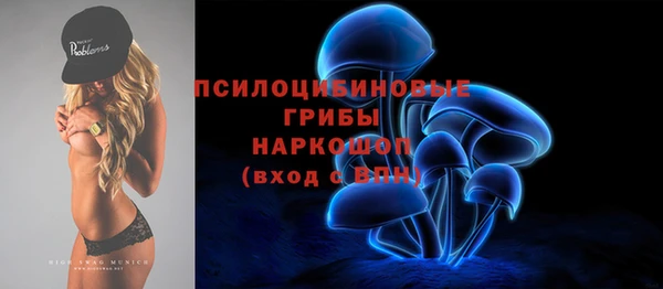 круглые Корсаков