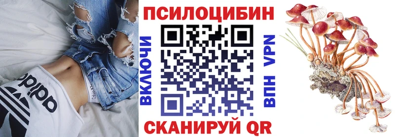 Галлюциногенные грибы Magic Shrooms наркота Краснозаводск